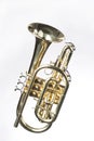 SheppardsÃ¢â¬â¢s Crook Cornet On White